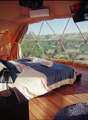 Entre racimos, glamping entre viñedos en bodega